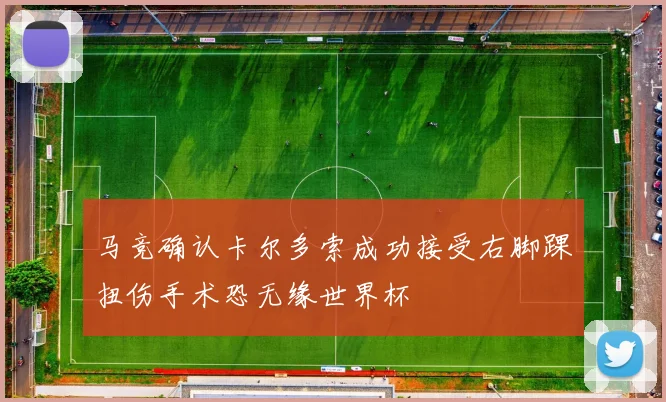 马竞确认卡尔多索成功接受右脚踝扭伤手术恐无缘世界杯